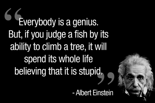 Albert Einstein: Everybody is a genius  JPULSE.ORG
